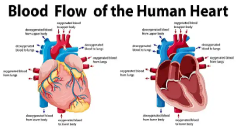 supraventricular tachycardia icd 10